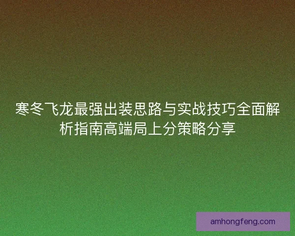 寒冬飞龙最强出装思路与实战技巧全面解析指南高端局上分策略分享