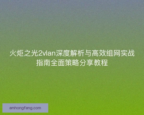 火炬之光2vlan深度解析与高效组网实战指南全面策略分享教程